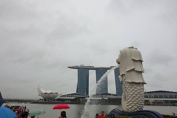 DSC09239.JPG DSC09239.JPG