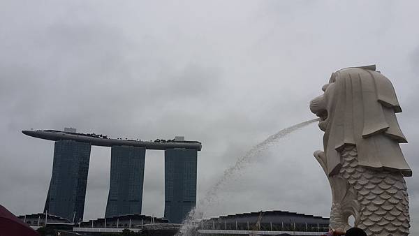 20180112_085132.jpg 20180112_085132.jpg