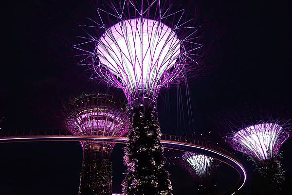 DSC09325.JPG DSC09325.JPG