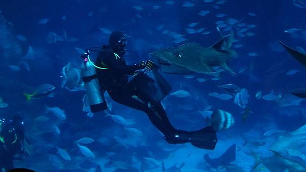 DSC09438.JPG DSC09438.JPG