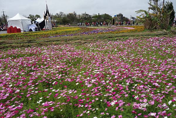 DSC01163.JPG DSC01163.JPG