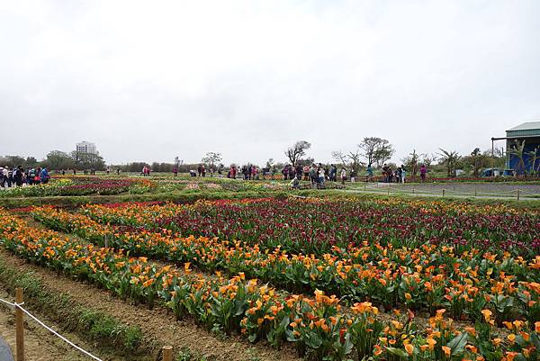 DSC01198.JPG DSC01198.JPG