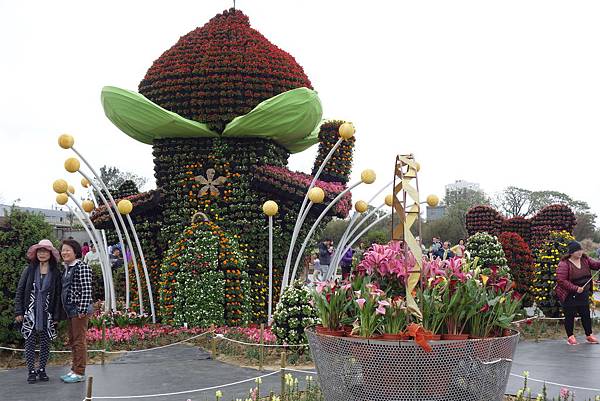 DSC01263.JPG DSC01263.JPG