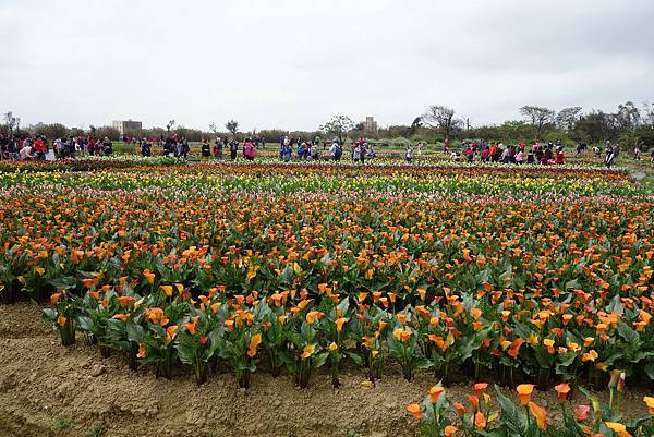 DSC01306.JPG DSC01306.JPG