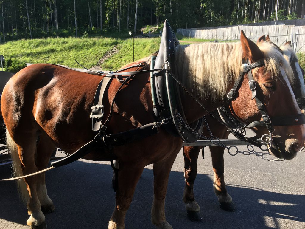 IMG_0972.JPG IMG_0972.JPG