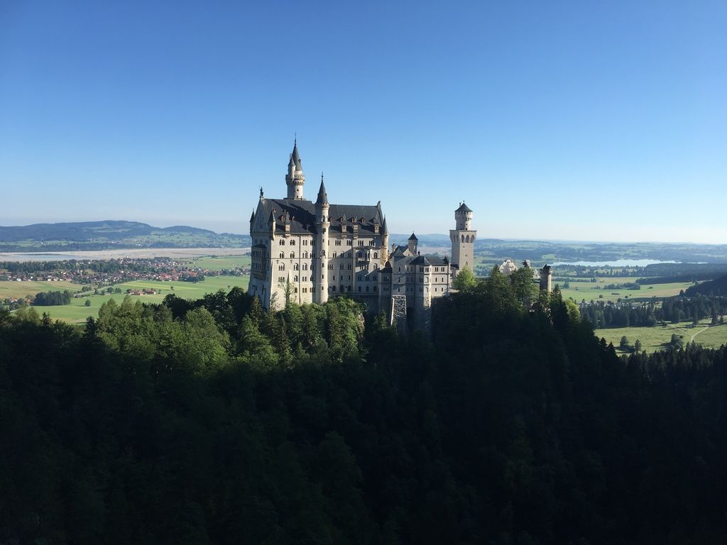 IMG_0990.JPG IMG_0990.JPG