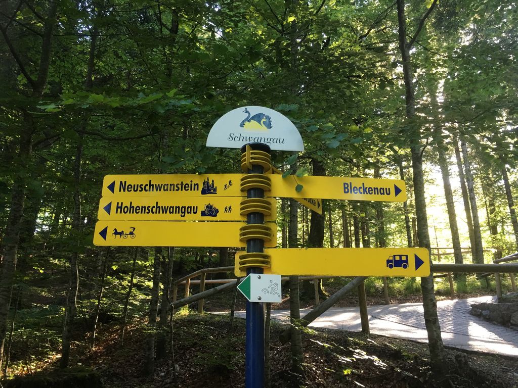 IMG_1010.JPG IMG_1010.JPG