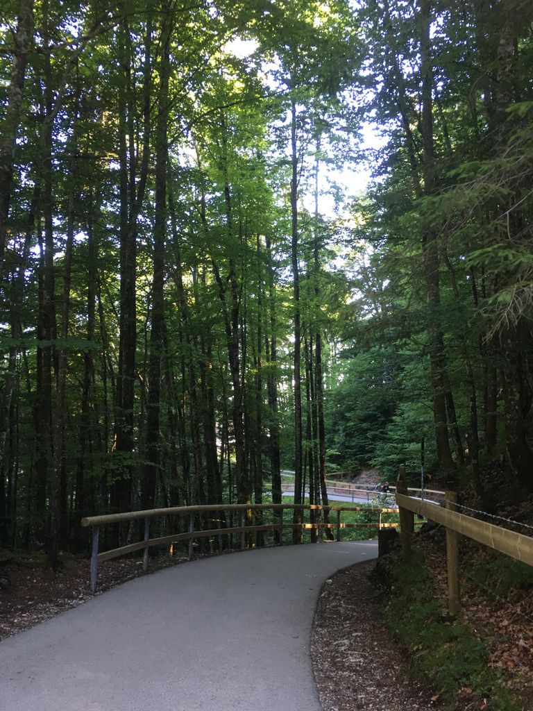 IMG_1011.JPG IMG_1011.JPG