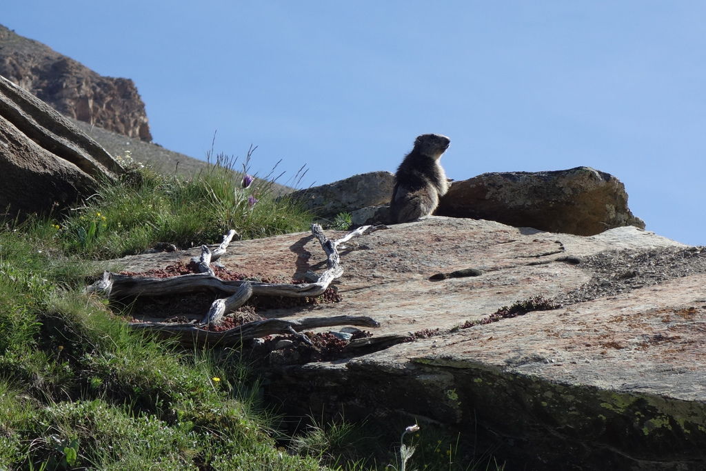 德瑞 2996.JPG 德瑞 2996.JPG