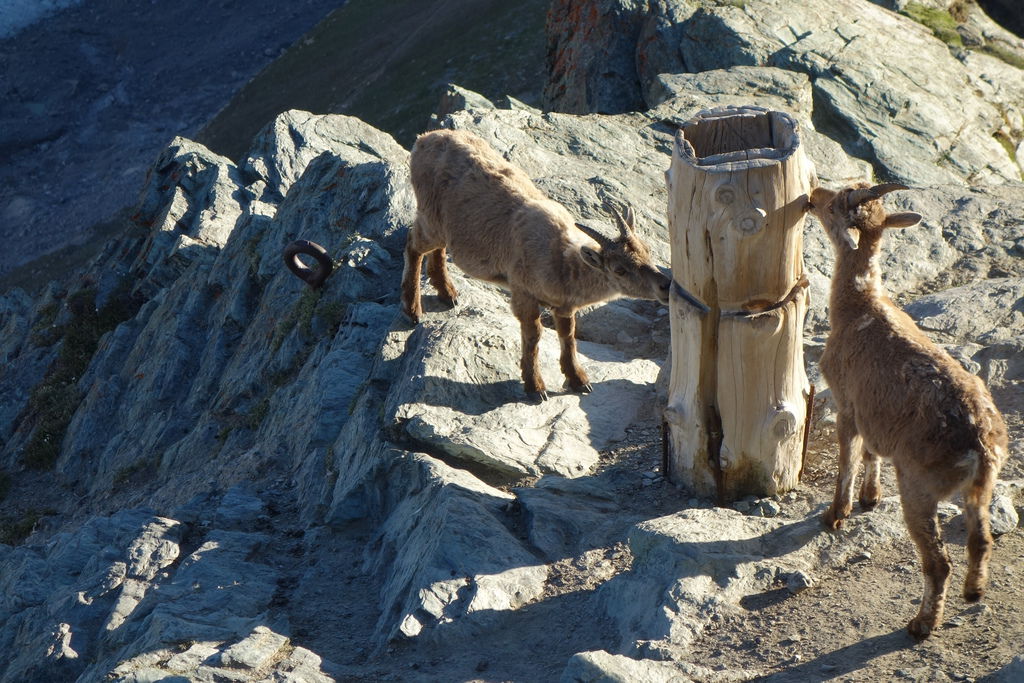 德瑞 3517.JPG 德瑞 3517.JPG