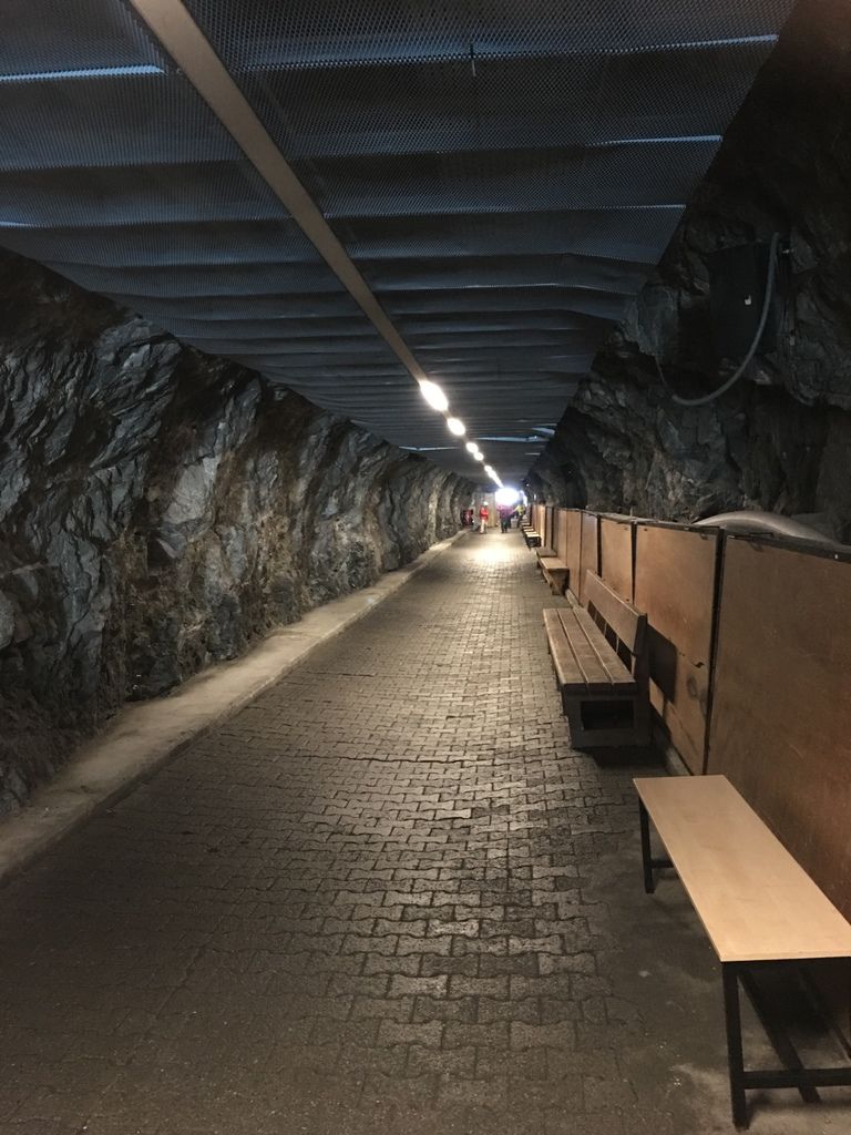 IMG_3196.JPG IMG_3196.JPG