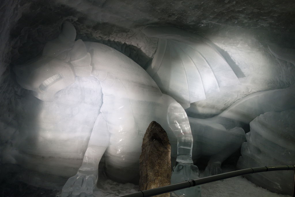 德瑞 2685.JPG 德瑞 2685.JPG