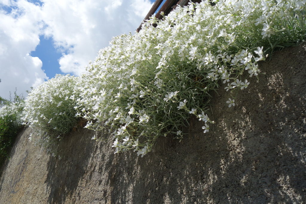 德瑞 2914.JPG 德瑞 2914.JPG