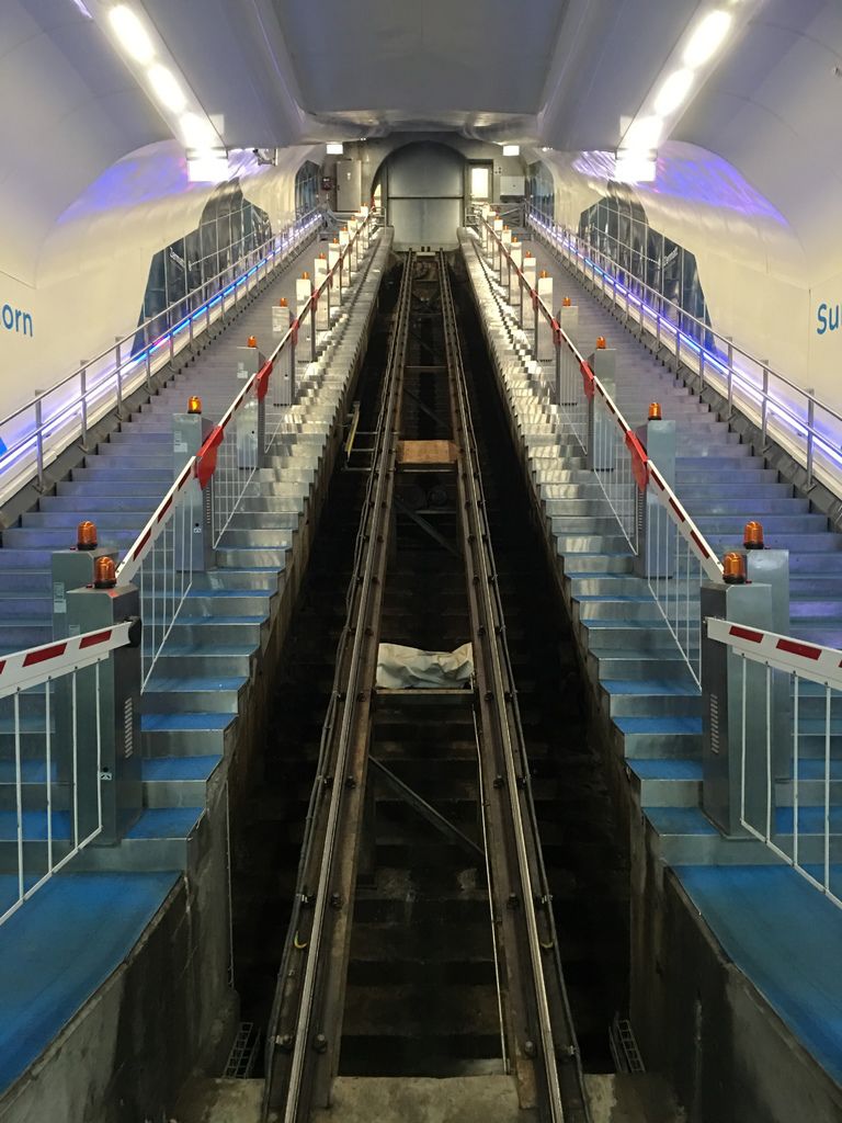 IMG_3550.JPG IMG_3550.JPG