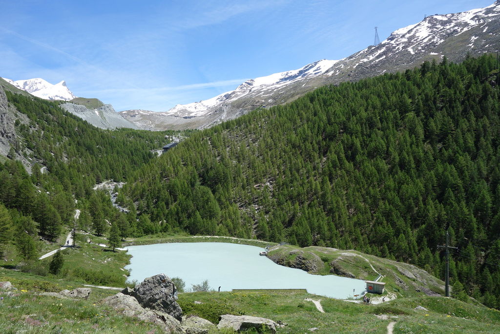 德瑞 3250.JPG 德瑞 3250.JPG