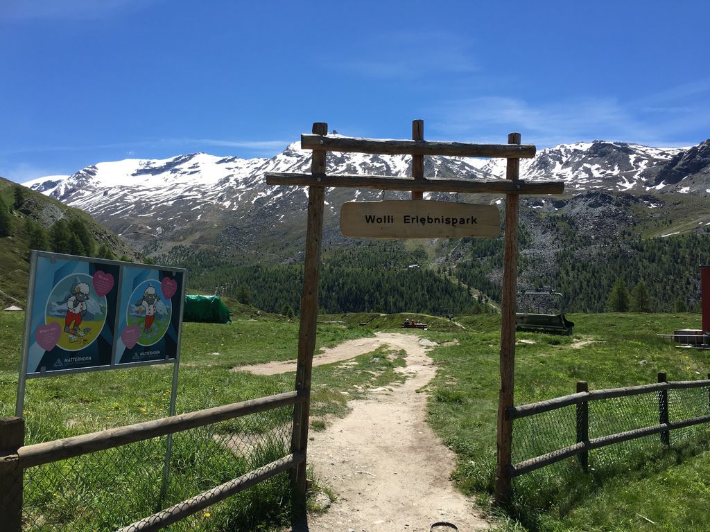 IMG_3799.JPG IMG_3799.JPG