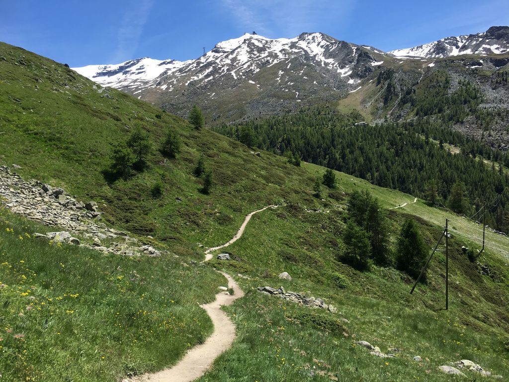 IMG_3821.JPG IMG_3821.JPG