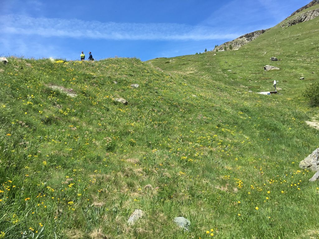 IMG_3839.JPG IMG_3839.JPG