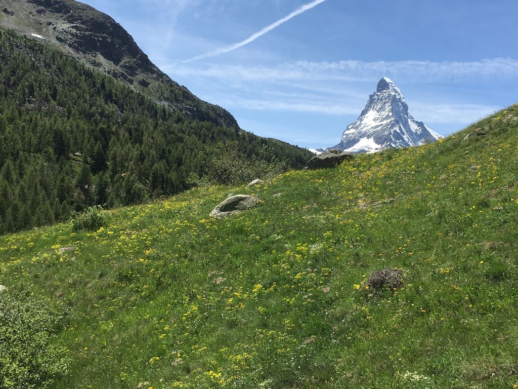 IMG_3860.JPG IMG_3860.JPG