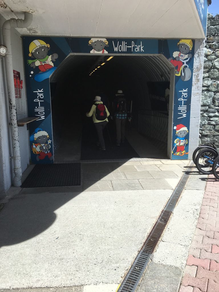 IMG_3893.JPG IMG_3893.JPG