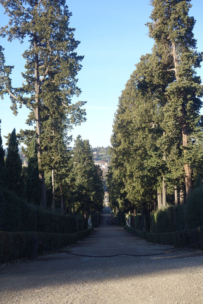 DSC00862.JPG DSC00862.JPG