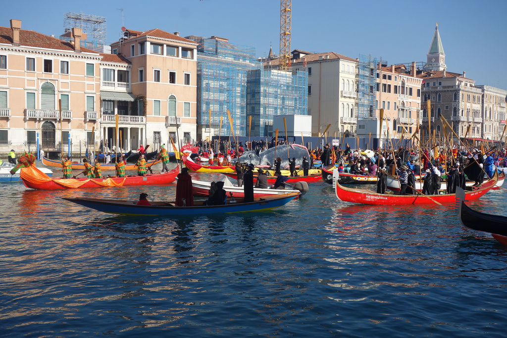 DSC01429.JPG DSC01429.JPG