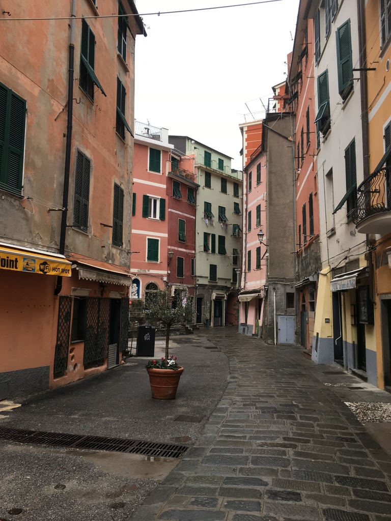 IMG_3105.JPG IMG_3105.JPG