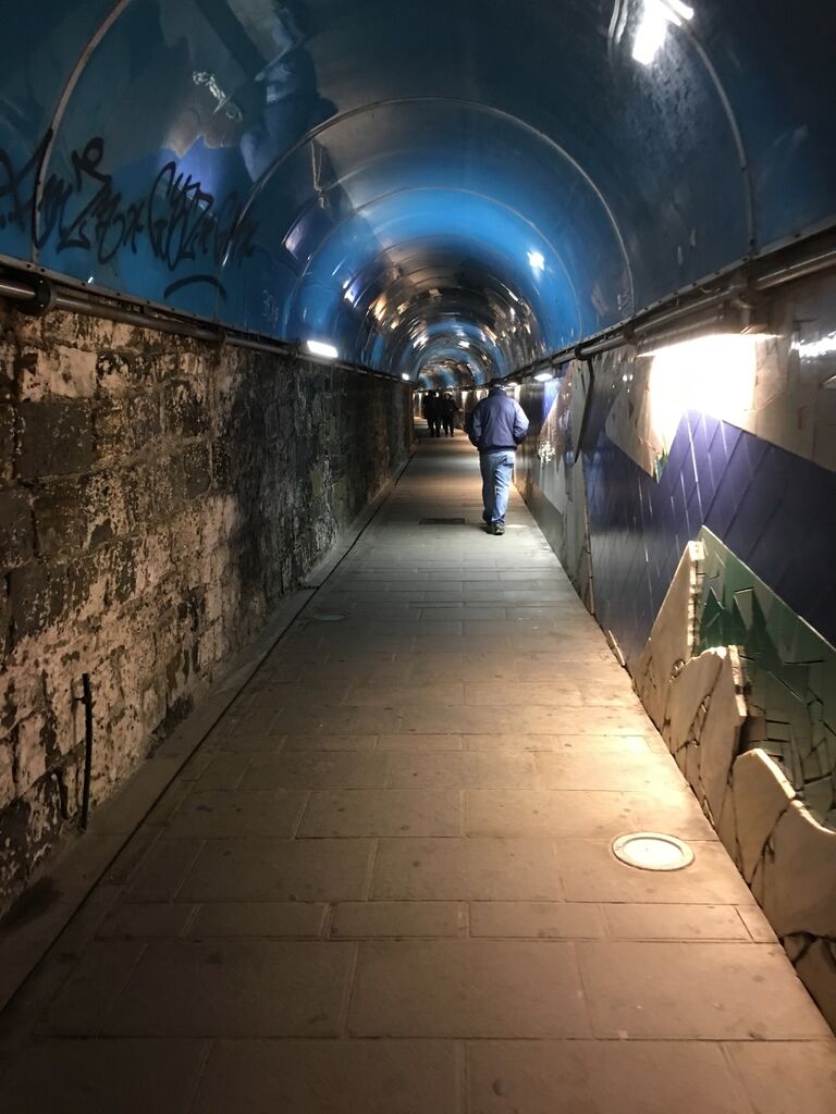 IMG_3115.JPG IMG_3115.JPG