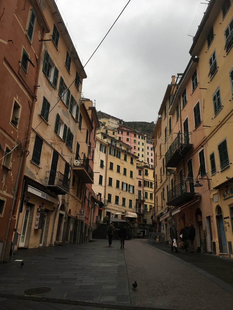 IMG_3116.JPG IMG_3116.JPG