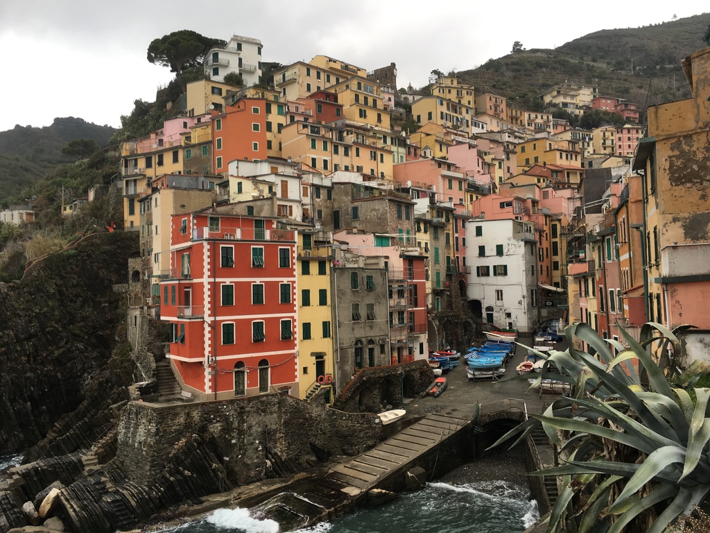 IMG_3121.JPG IMG_3121.JPG