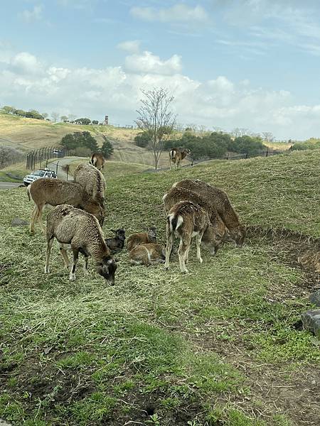 IMG_4051.JPG IMG_4051.JPG