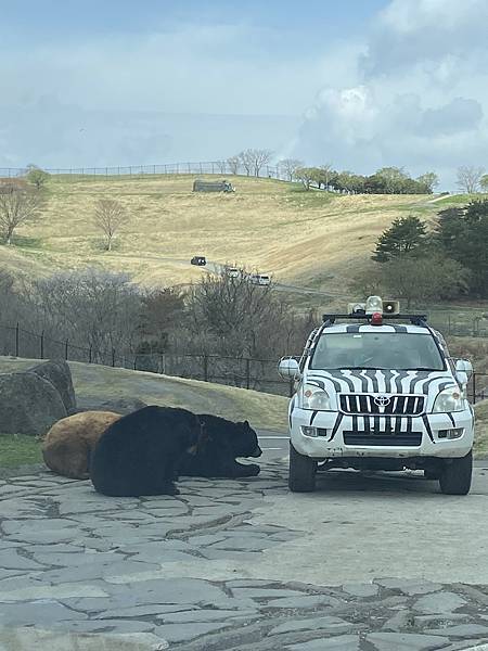 IMG_4054.JPG IMG_4054.JPG