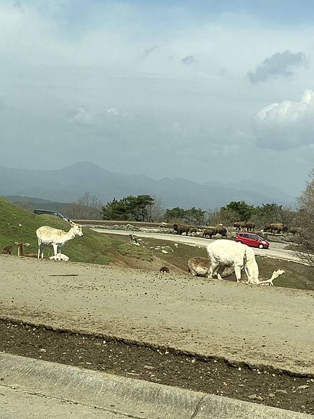 IMG_4058.JPG IMG_4058.JPG