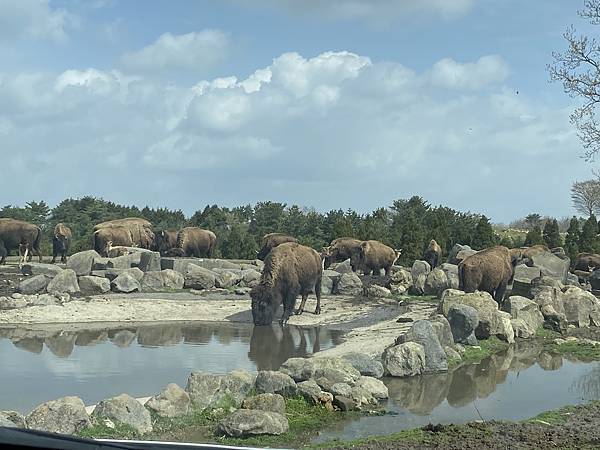 IMG_4059.JPG IMG_4059.JPG