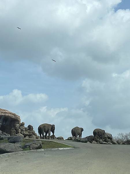 IMG_4061.JPG IMG_4061.JPG