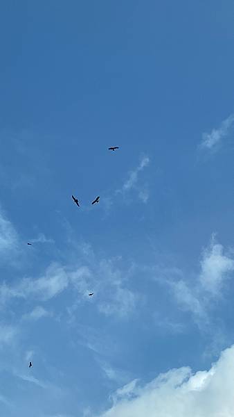 IMG_4063.JPG IMG_4063.JPG