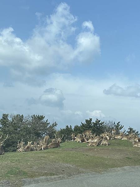 IMG_4065.JPG IMG_4065.JPG