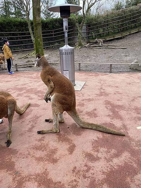 IMG_4084.JPG IMG_4084.JPG