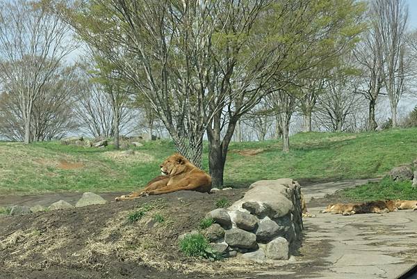 DSC06325.JPG DSC06325.JPG