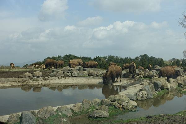 DSC06342.JPG DSC06342.JPG