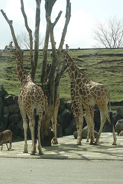 DSC06364.JPG DSC06364.JPG