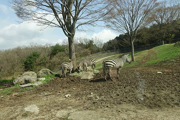 DSC06388.JPG DSC06388.JPG