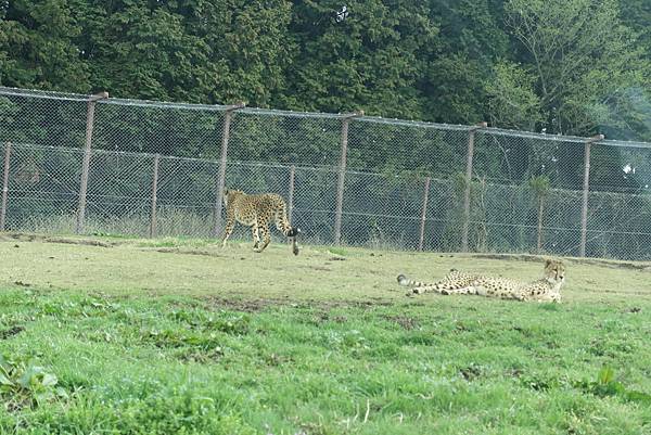 DSC06395.JPG DSC06395.JPG