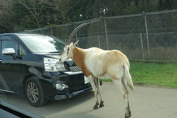 DSC06403.JPG DSC06403.JPG