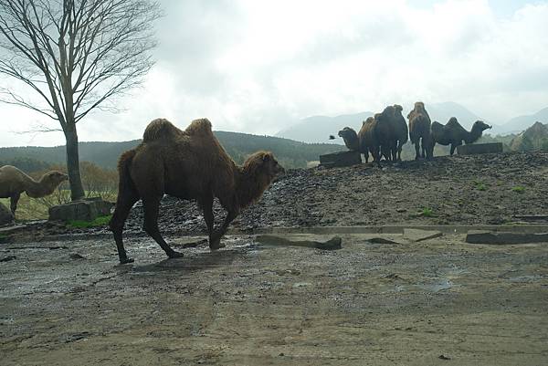 DSC06416.JPG DSC06416.JPG