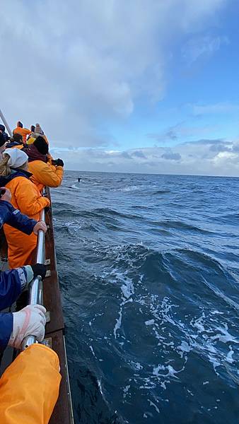 2023.9冰島-胡薩維克賞鯨