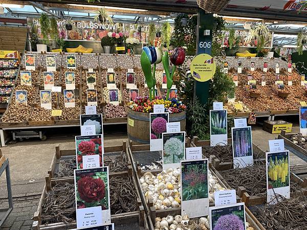 2023.9荷蘭3天自助-阿姆斯特丹、羊角村 2023.9荷蘭3天自助-阿姆斯特丹、羊角村