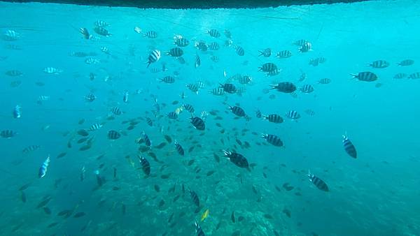 2024.1日本沖繩冬日旅遊-行程及費用