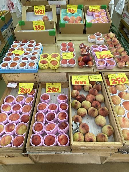 2024夏.北海道+東北祭典(下) 2024夏.北海道+東北祭典(下)