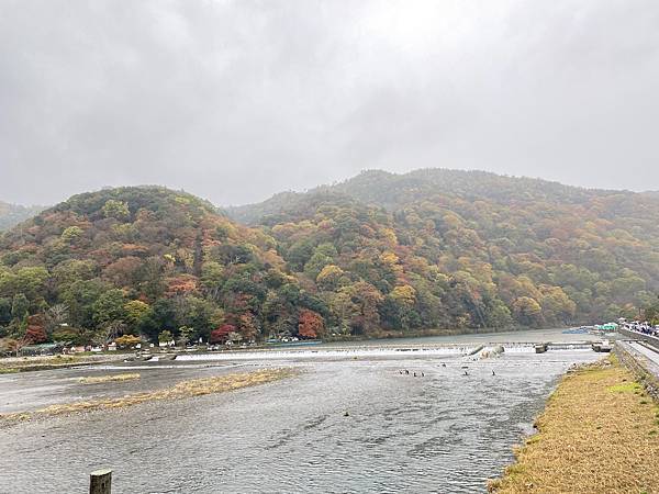 2024.11東京、京都秋季遊(下) 2024.11東京、京都秋季遊(下)
